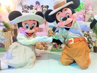 Mickey Minnie Safari cover personagens vivos festa Vila Prudente Servicos para festas infantis e eventos no 319496058 