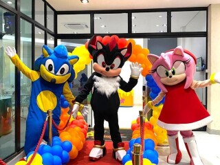 Sonic cover turma personagens vivos Vila Prudente Servicos para festas infantis e eventos no 328154460 