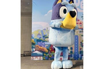 BLUEY PERSOANGEM VIVO BELO HORIZONTE E REGIO CentroSul Servicos para festas infantis e eventos no 328419141 