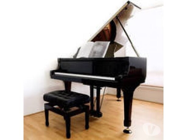 afinador-de-pianos-jacarepagu-profissionais-liberais-no-120334820-big-0