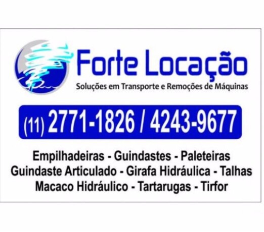 kit-remocao-para-ate-50-toneladasempilhadeiras-e-guindaste-carapicuba-servicos-especializados-no-149878892-big-0