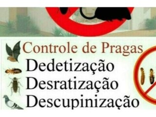 Desinsetizaco Desratizaco Descupinico em Gravata rs Gravatai RS Servicos especializados no [***] 