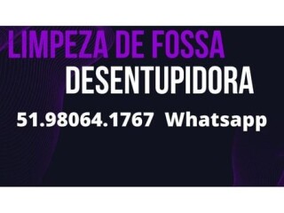 Dedetizaco e Desentupimentos em Cachoeirinha e Regies Cachoeirinha Sul RS Servicos especializados no 304581396 