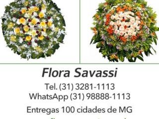 Parque Renascer coroa de flores Parque Renascer Contagem MG CentroSul Servicos especializados no 305128437 