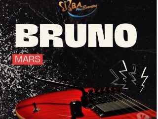 TRANSPORTE AO SHOW DO BRUNO MARS Campinas SP Excurses e aluguel de vans no 316278115 