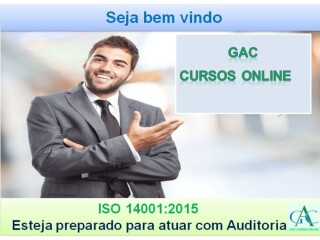 Curso Auditor Interno da Norma ISO 140012015 Gama DF cursos tcnicos enfermagem esttica profissionalizantes 159683731 