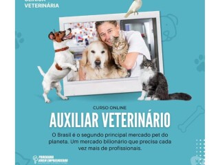 Curso de Auxiliar Veterinrio Online Completo e Certificado Batatais SP cursos tcnicos enfermagem esttica profissionalizantes 324939224 