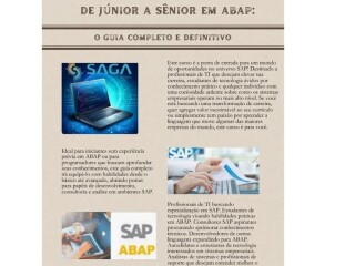 De Jnior a Snior em ABAP O Guia COMPLETO e DEFINITIVO Taubate SP Cursos de informtica no 328351623 