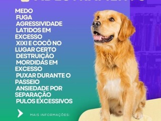 Adestrador de ces Barra da Tijuca Pet shops e veterinrios Barra da Tijuca no 327873169 