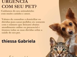 Consultas dvidas sobre pet Botucatu SP Pet shops e veterinrios Botucatu SP no 329695301 