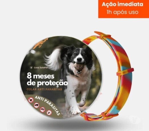 colar-anti-pulgas-e-carrapatos-videira-sc-pet-shops-e-veterinrios-videira-sc-no-329740674-big-0