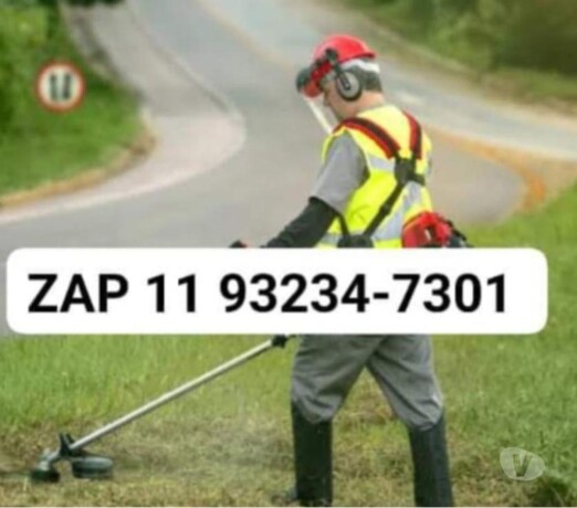 limpeza-de-gramado-outros-bairros-sao-paulo-sp-servicos-especializados-big-0